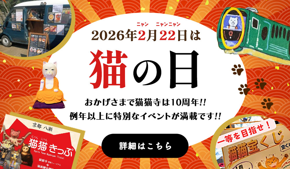 2026年2月22日は猫の日 特別企画が満載