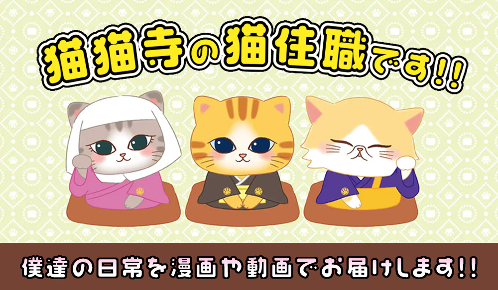 猫猫寺の猫住職です。僕達の日常を漫画や動画でお届けします