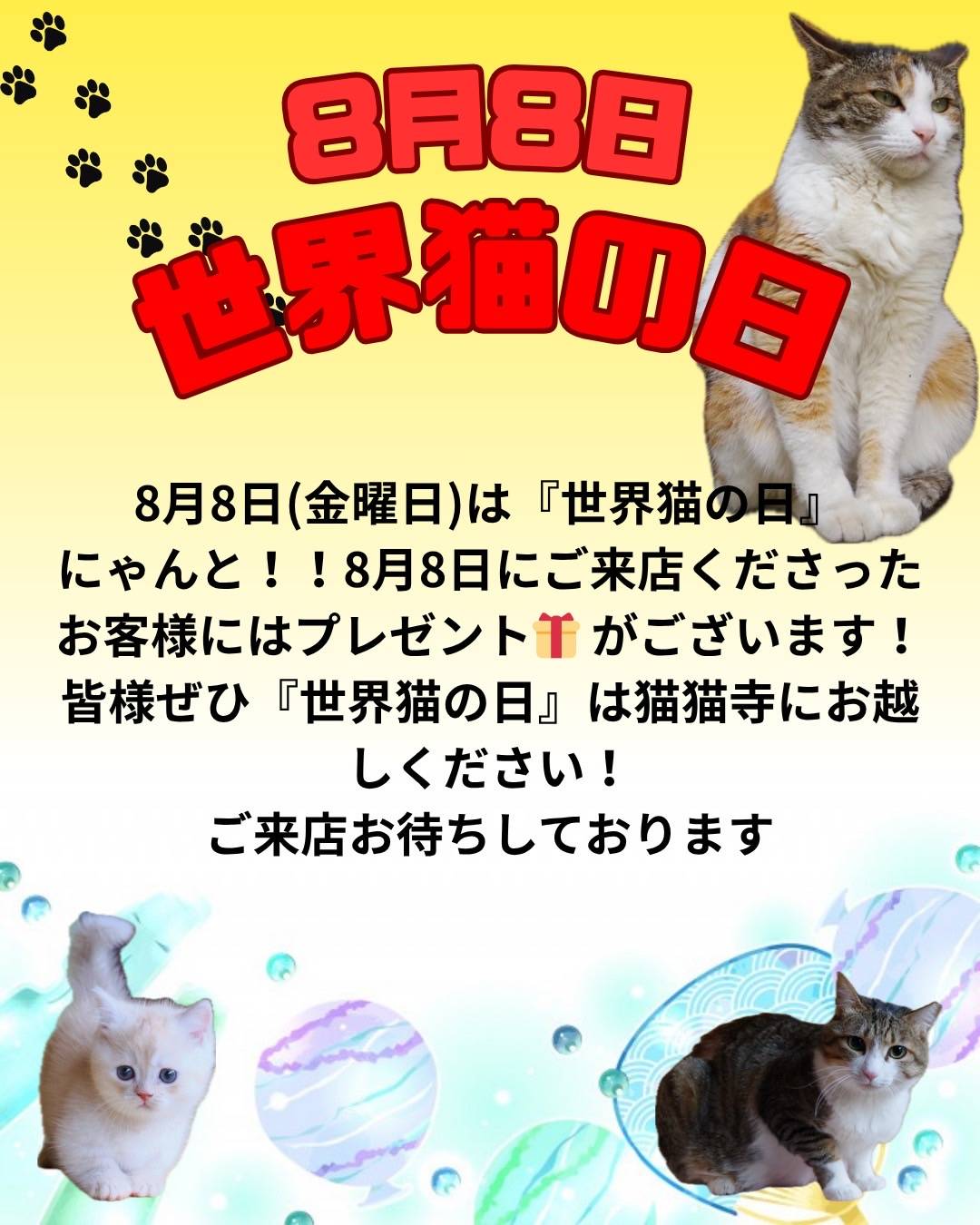 8月8日は世界猫の日 | 猫猫寺 開運ミュージアム｜「猫」をご本尊とした